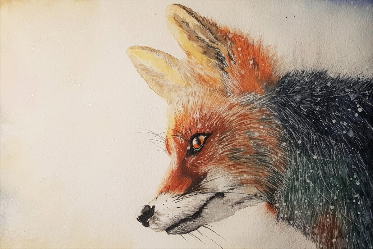 Fox